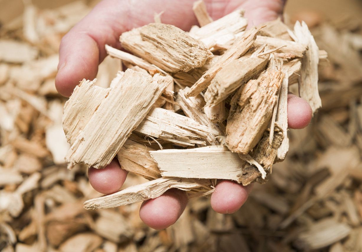 Is Wood Recyclable? And How To Dispose of It Reston Waste